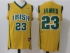 Irish High School #23 LeBron James Gold Basketball Jersey