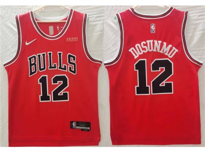 Chicago Bulls #12 Ayo Dosunmu Red Swingman Jersey